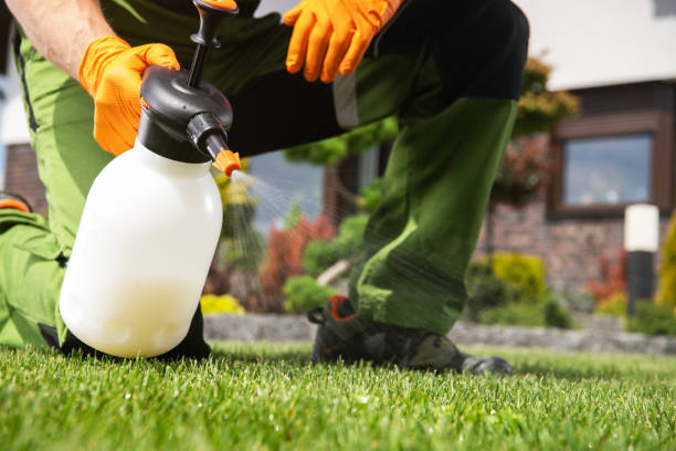 Best Best Pest Control Companies  in Bushland, TX