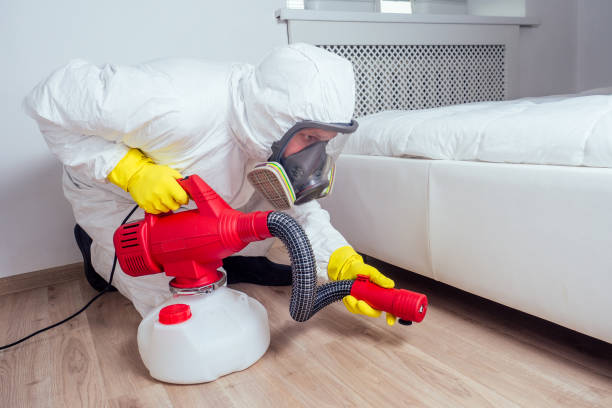 Best Bed Bug Extermination  in Bushland, TX